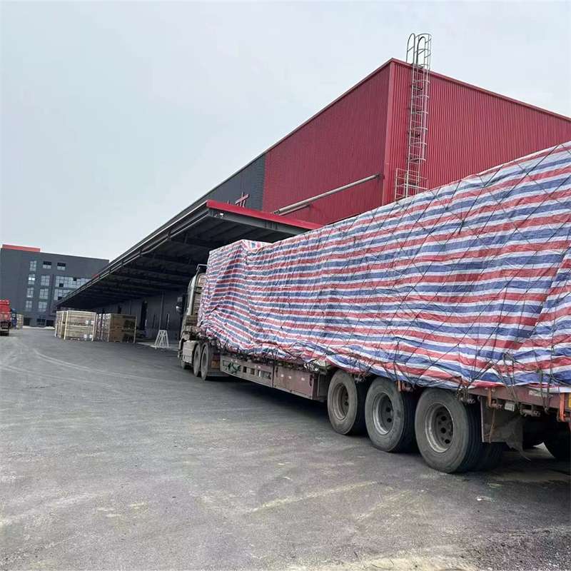 东阳市渝中区物流：多元服务与运输线路探秘