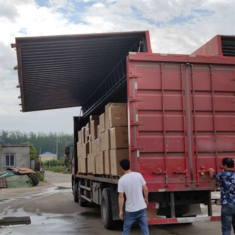 东阳市扎囊县：物流专线的高效货运之旅