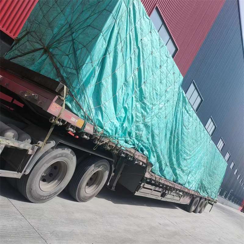 东阳市探索响水镇多样化物流运输服务